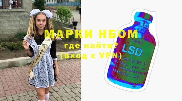 шишки Богородицк